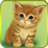 Cute baby cat icon