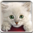 Cute Cat Wallpapers APK Download