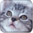 Cute Kittens icon