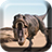 Dinosaurs Live Wallpaper icon