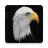 Eagle Backgrounds icon