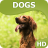 Dogs wallpapers icon