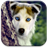 Dogs Live Wallpapers icon