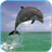 Dolphin 3d. Video Wallpaper icon
