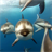 Dolphins Live Wallpaper version 7.0