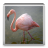 Flamingo Backgrounds version 2.1