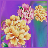 Asian Flower Wallpaper Free APK Download