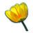 Flowers Collection icon