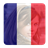 French Flag icon