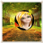 Forest Frames For Photos icon