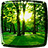 Forest Live Wallpaper 6.0