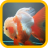 Goldfish wallpaper icon