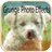 Grunge Photo Effects version 1.01