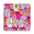 HD HQ Flower Wallpapers icon