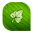 Beautiful Leaf icon