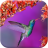 Hummingbird Wallpapers icon