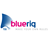 Blueriq App Viewer version 1.0.0