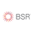 BSR 2013 icon