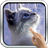 Interactive Kitten icon