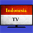 Indonesia TV INFOSAT icon