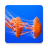 Jellyfish Wallpapers icon