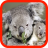 Koala wallpaper icon