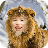 Lion Frames Photo Editor icon