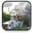 Puppy Video Wallpaper icon