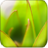 Macro shot of plants APK Download