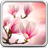 Magnolia Live Wallpaper version 3.0
