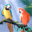 Parrot Live Wallpaper version 1.0.6