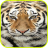 Nature Tiger wallpaper icon