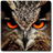 Owl Night Vision icon