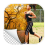 Photo Background Remover version 1.1