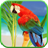 Parrots From Rio Wallpaper icon