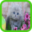 Persian cat wallpaper icon