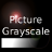 Picture Grayscale icon