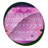 Pink delight icon