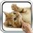 Playful ginger kitten icon