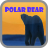 Descargar Polar bear wallpaper