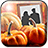 Pumpkins Photo Frames icon