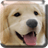 Puppies Live Wallpaper icon