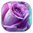 Purple Rose 1.2