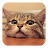 Q Cat APK Download