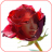 Red Rose Frame Transparent icon