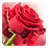 Red Rose Live Wallpaper APK Download