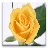 Rose HD Live Wallpaper icon