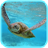 Sea Turtle HD. Wallpaper icon