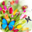 Spring Flower Wallpaper icon