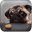 Super Funny Animals icon